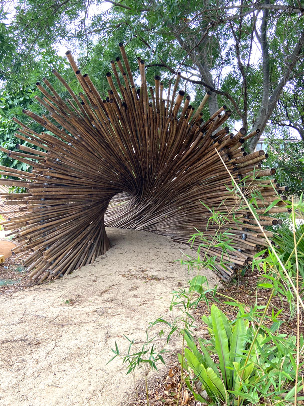 John Wearn Carlingford Bamboo Tunnel Hills District Mums