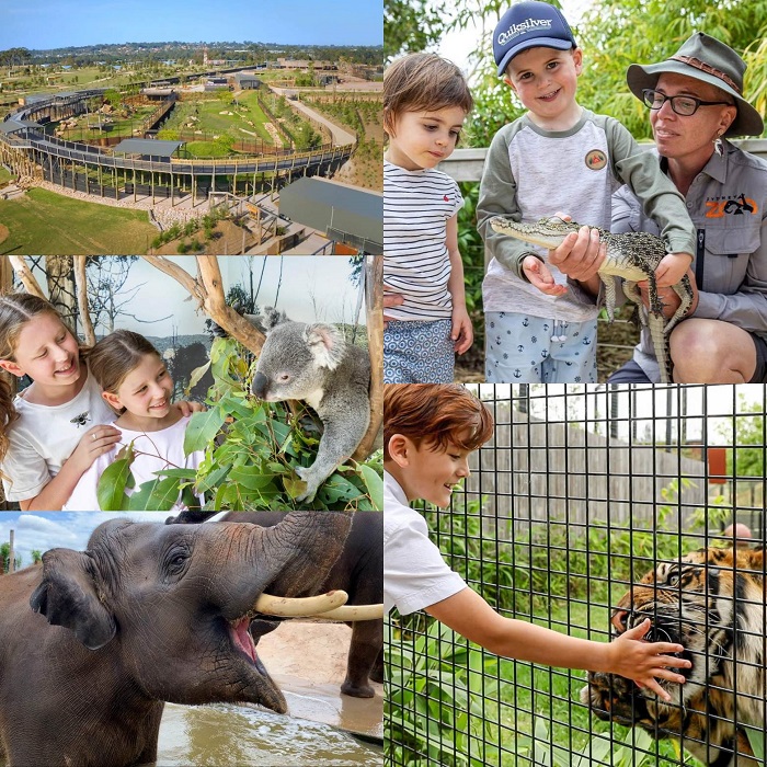 Sydney Zoo site - Hills District Mums