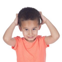 Nits, head lice and head louse – what to look out for and how to treat them