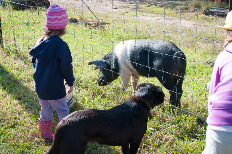 Canoelands Orchard (4 of 8)