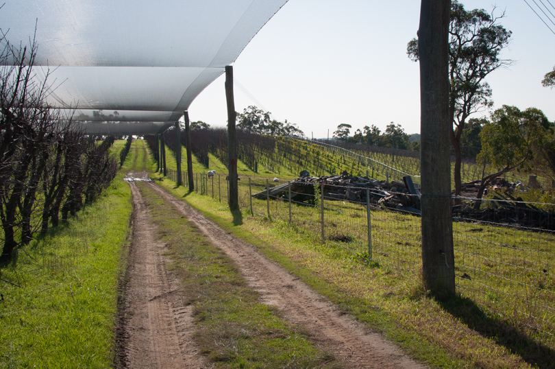 Canoelands Orchard (5 of 8)