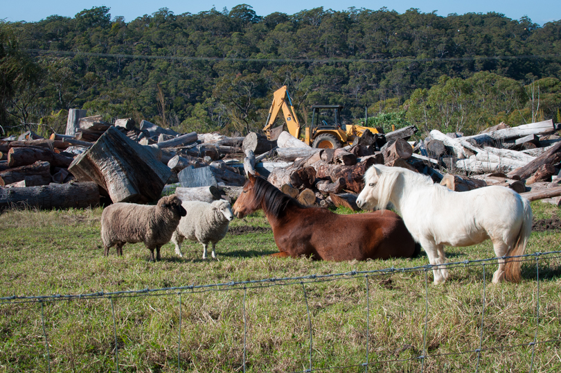 Canoelands Orchard (6 of 8)