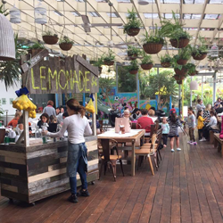Cafes with play areas: The Hills, Sydney