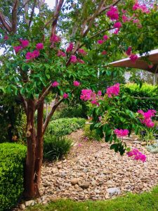 The Children's Preschool beautiful gardens