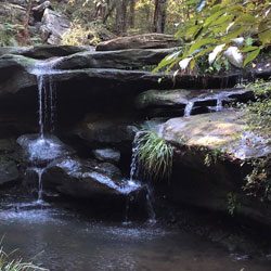 Balaka Falls | Hunts Creek Reserve | Carlingford
