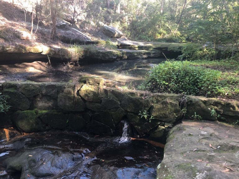 Platypus Track Bidjigal Reserve Castle Hill Bushwalks for kids Hills District Mums Platypus Track Bidjigal Reserve Castle Hill Bushwalks for kids Hills District Mums