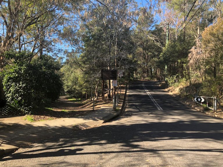 Platypus Track | Bidjigal Reserve Castle Hill | Bushwalks for kids