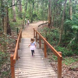 Cumberland State Forest | West Pennant Hills | Bushwalks for kids