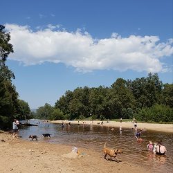 Day trip to Yarramundi