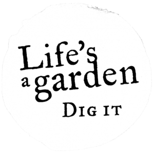 Life S A Garden Dig It Hills District Mums