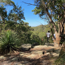 City View Lookout | Pennant Hills