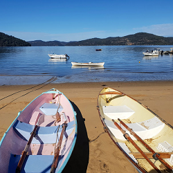 Explore | Dangar Island