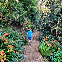 Lisgar Gardens & Florence Cotton Reserve Hornsby | Bush walks for kids