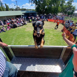 Hawkesbury Fest