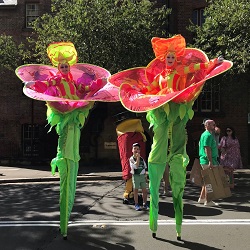 What’s On in The Hills This Weekend | Family Events, Markets & Things to Do