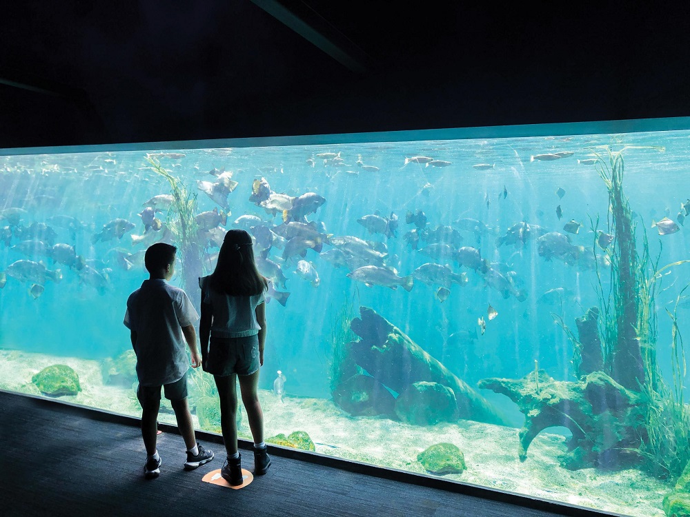 Sydney Zoo's aquarium