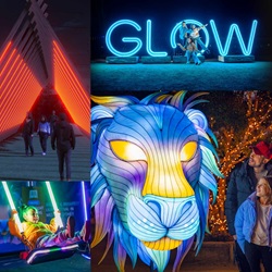 GLOW at Sydney Zoo is back!
