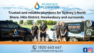 Purified Plumbing