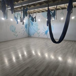 Our Aerial and Yoga room