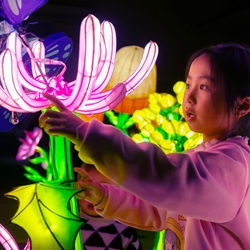 The Hills Sydney: What’s on this weekend