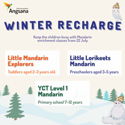 Mandarin Enrichment Classes in North Rocks