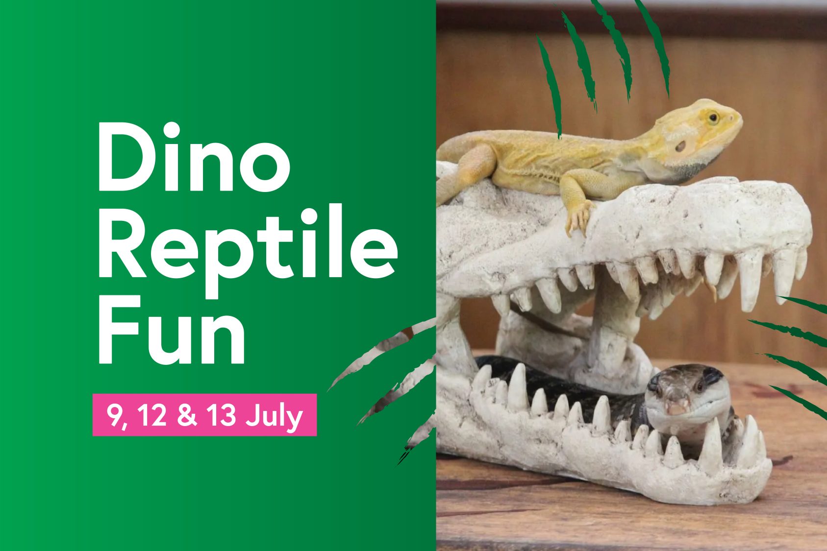 Dino Reptile Fun – Castle Mall Shopping Centre