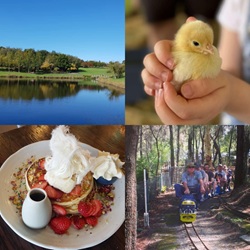 Things to do in the ‘rural’ Hills