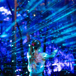 Things to do this October: The Hills Sydney