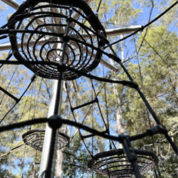 Fernley Park Beecroft | Playground