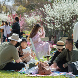 The Hills Sydney: What’s on this weekend