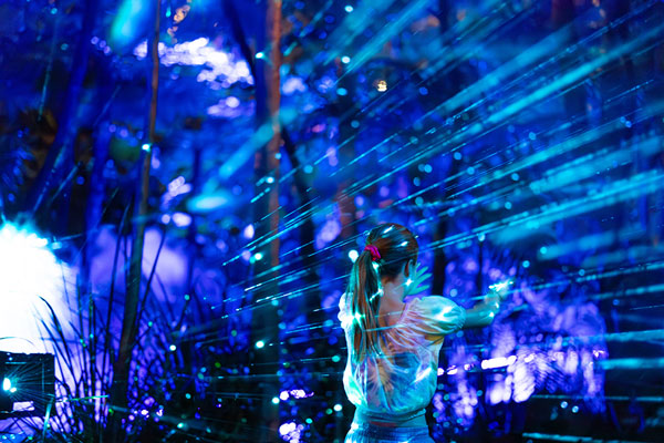 Echoes at Bella Vista Farm