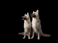 ELB Photography ELB Photography