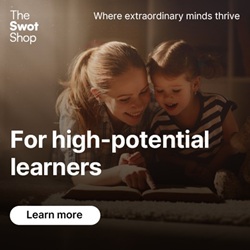 Extension and Enrichment Programs for Bright Learners