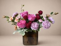 Bloom No.2