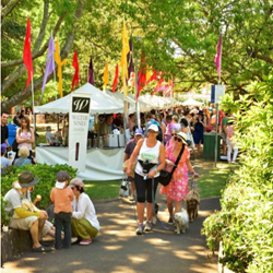 What’s On in The Hills This Weekend | Family Events, Markets & Things to Do