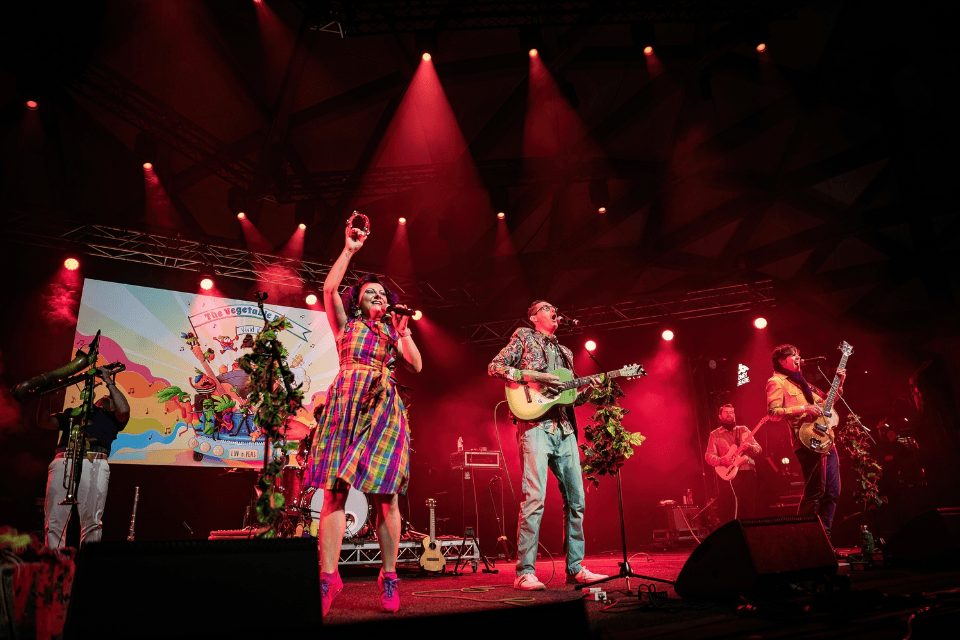 The Vegetable Plot – Pineapple People (Show and Workshop)